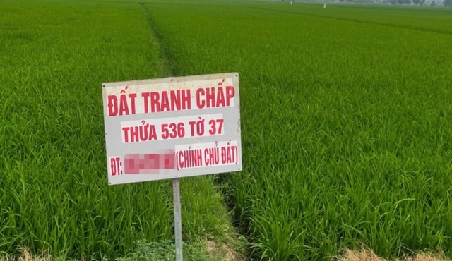 Đất tranh chấp: Những điểm người dân dễ nhầm lẫn- Ảnh 1.