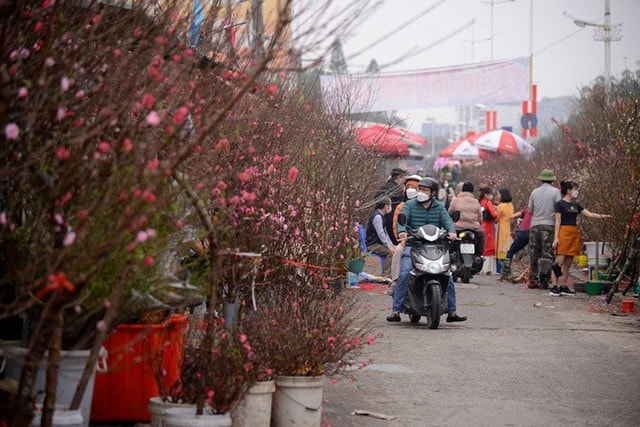 Chuyên gia nói về diễn biến thời tiết trong tháng 2, Tết Nguyên đán có thể sẽ ấm- Ảnh 1.