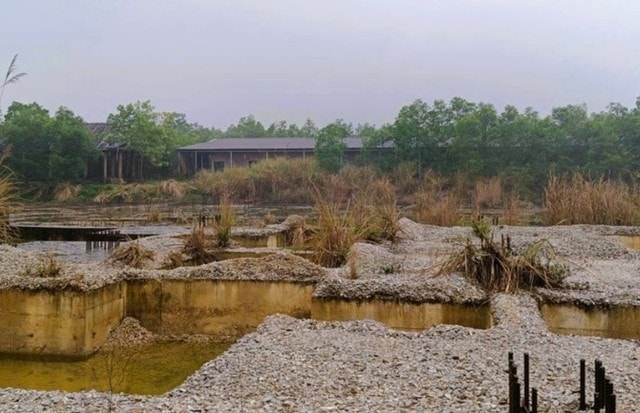 Điểm tên những dự án bị Thanh Hóa thu hồi đất do chậm triển khai- Ảnh 1.