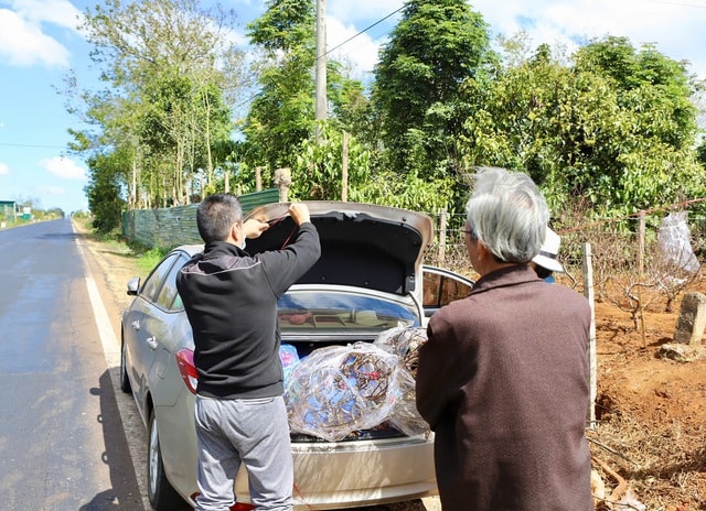 Đào Buôn Hồ vào vụ Tết: Hoa đẹp, thương lái đặt cọc sớm- Ảnh 6. Đào Buôn Hồ vào vụ Tết: Hoa đẹp, thương lái đặt cọc sớm- Ảnh 6.