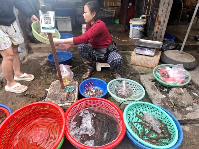 Người bán 'bật mí' nguyên nhân bất ngờ giá tôm tươi tăng trước Tết- Ảnh 1. Người bán 'bật mí' nguyên nhân bất ngờ giá tôm tươi tăng trước Tết- Ảnh 1.