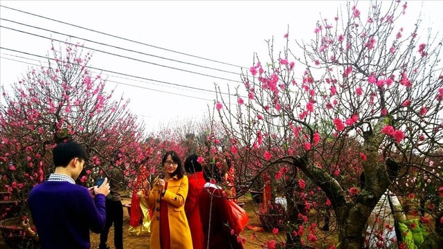 Thời tiết tháng 2 có những điểm khác biệt, Hà Nội nhiều ngày mưa phùn- Ảnh 1.