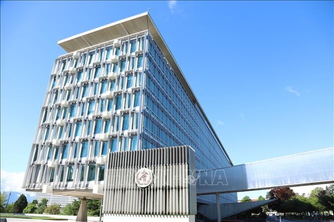 WHO: Cắt giảm tài trợ tạo cơ hội tái cấu trúc, xây dựng tổ chức tinh gọn hơn- Ảnh 1.