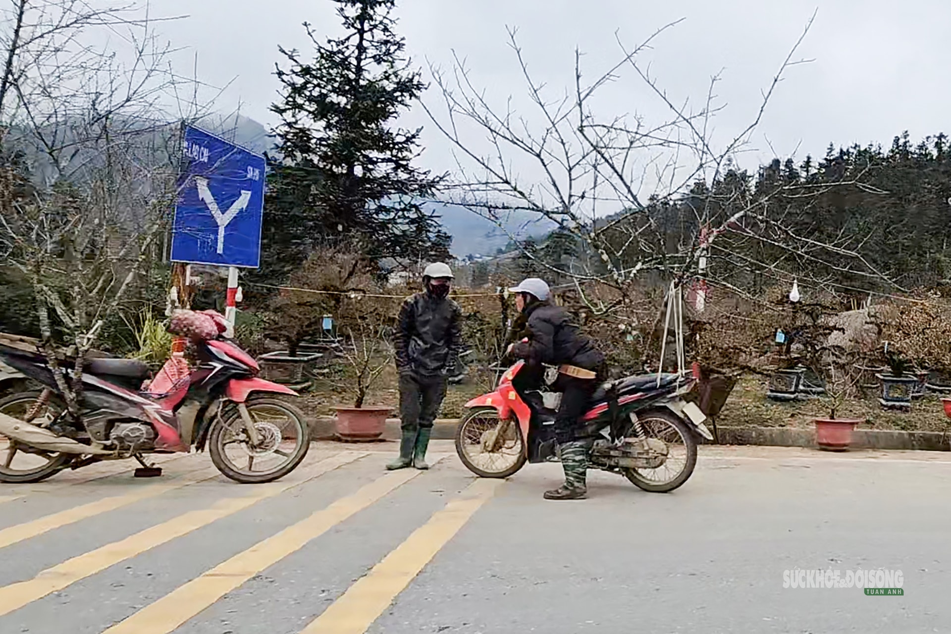 Nhịp xuân trên chợ đào đá Sa Pa- Ảnh 5.