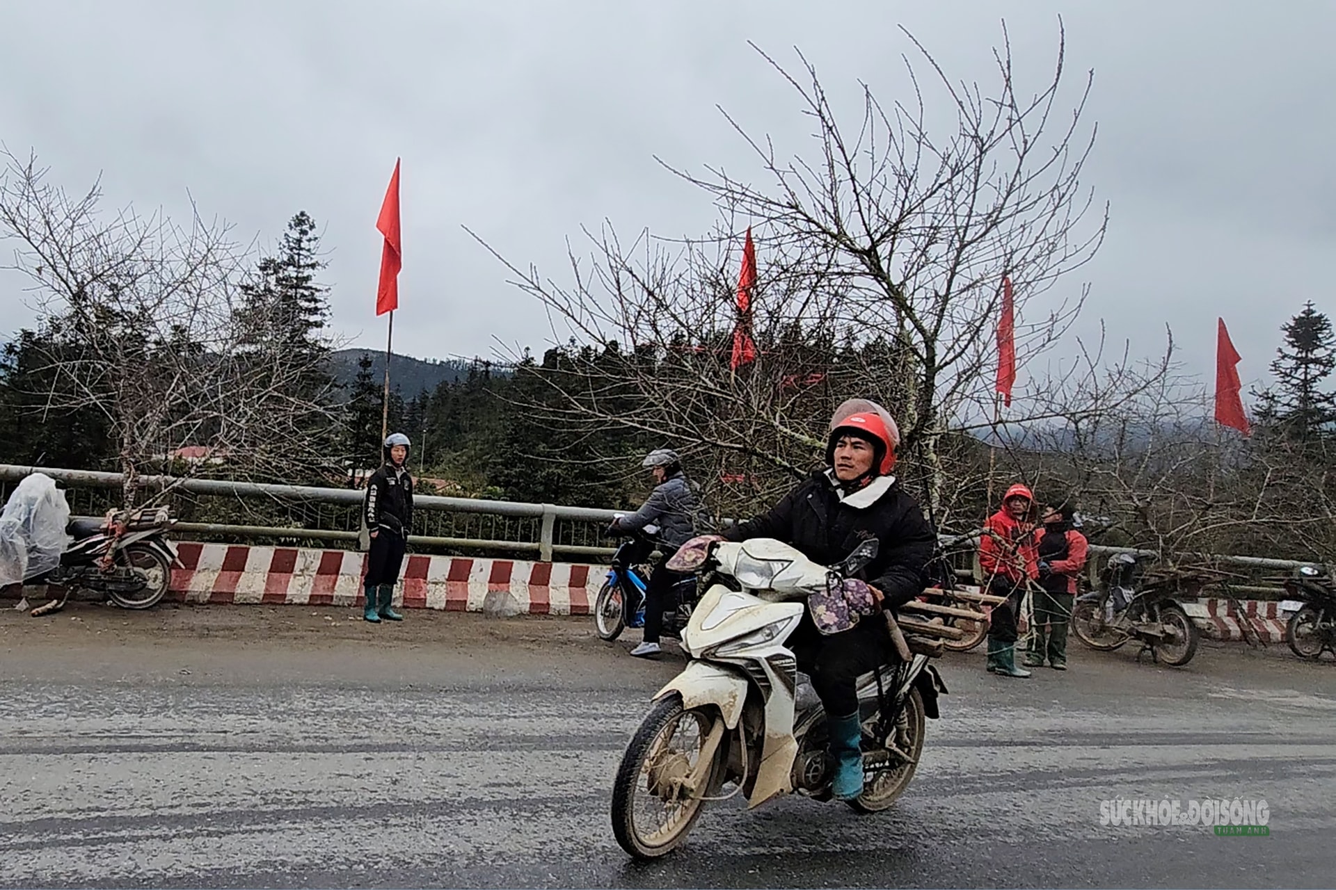 Nhịp xuân trên chợ đào đá Sa Pa- Ảnh 11.