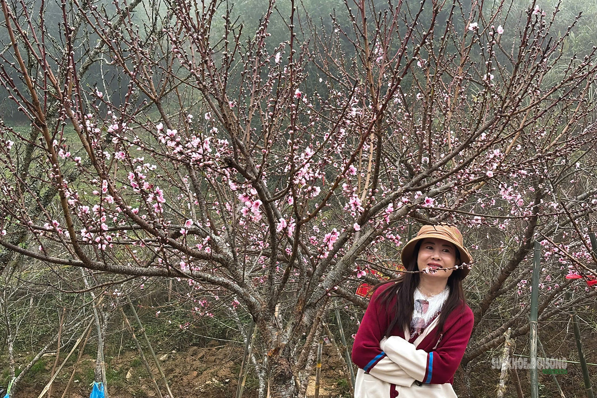 Nhịp xuân trên chợ đào đá Sa Pa- Ảnh 9.