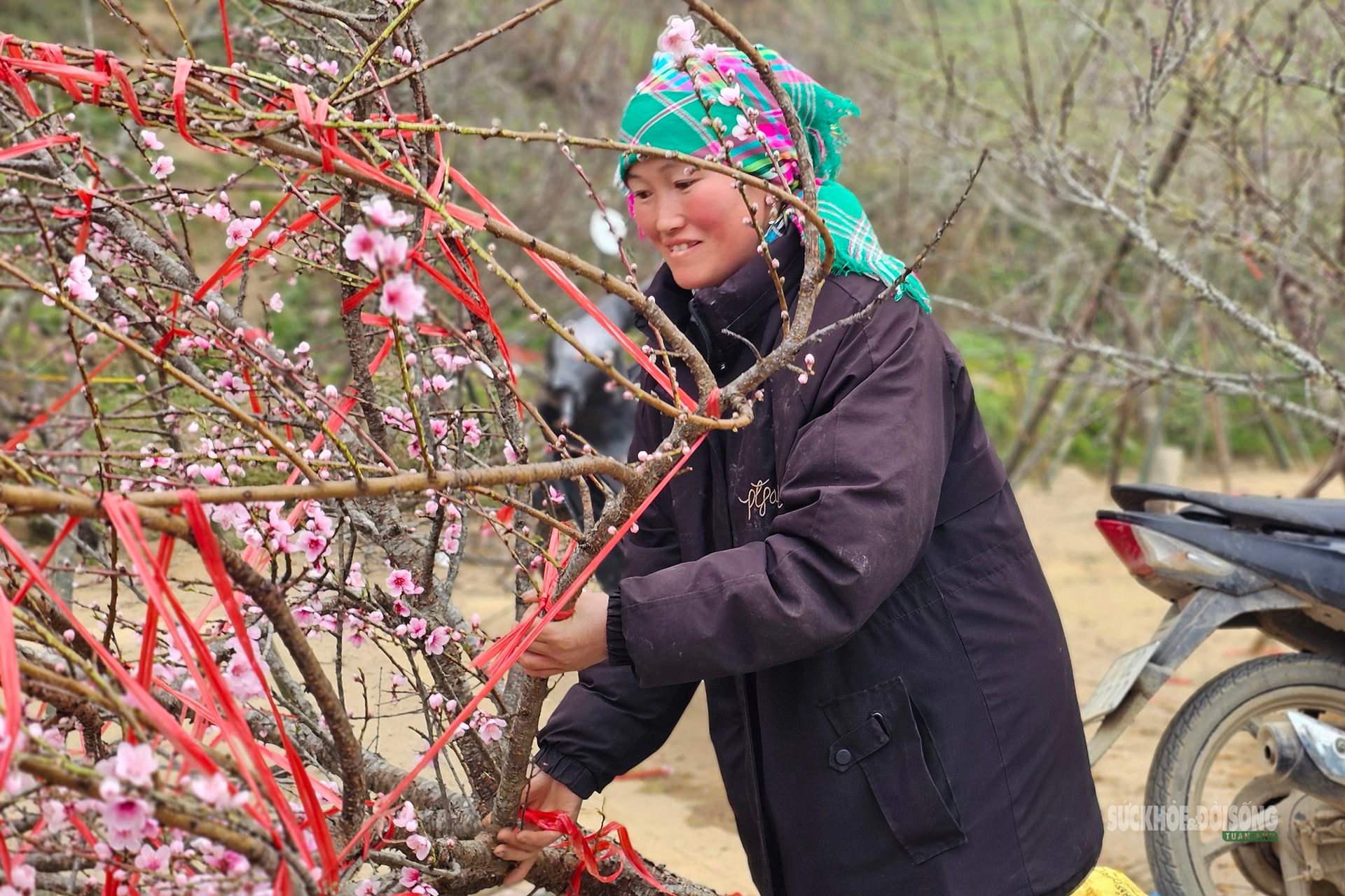 Nhịp xuân trên chợ đào đá Sa Pa- Ảnh 7.