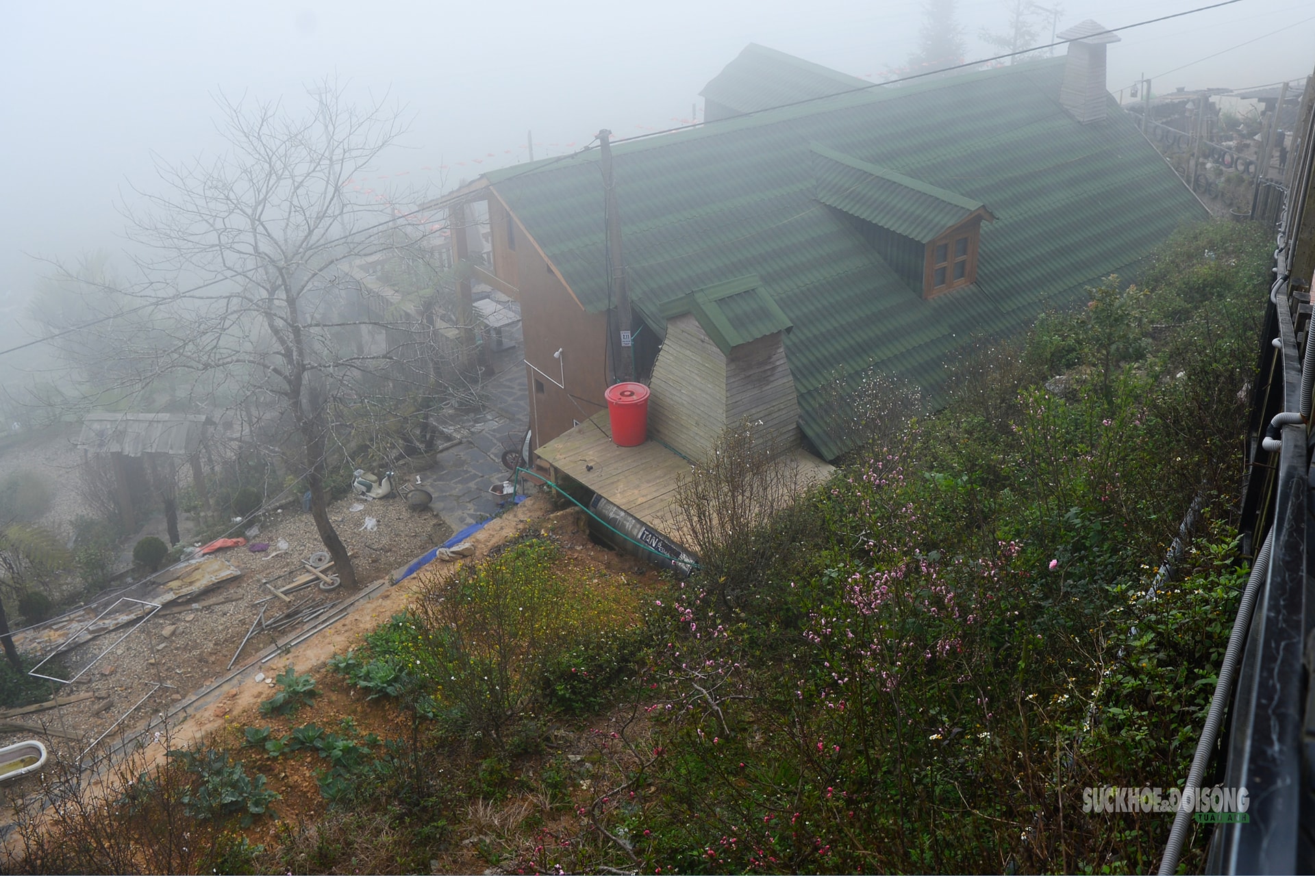 Nhịp xuân trên chợ đào đá Sa Pa- Ảnh 3.