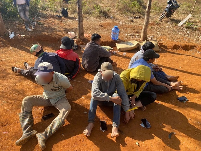 Triệt phá sới đá gà trong vườn cao su ở tỉnh Lâm Đồng- Ảnh 1. Triệt phá sới đá gà trong vườn cao su ở tỉnh Lâm Đồng- Ảnh 1.