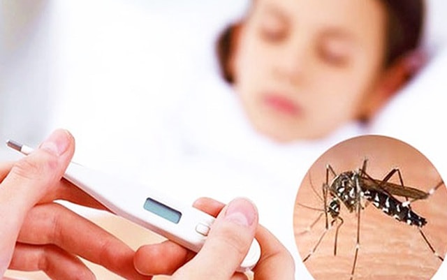 Dịch sốt xuất huyết gia tăng, ngành y tế Lâm Đồng siết chặt phòng, chống dịch- Ảnh 1.