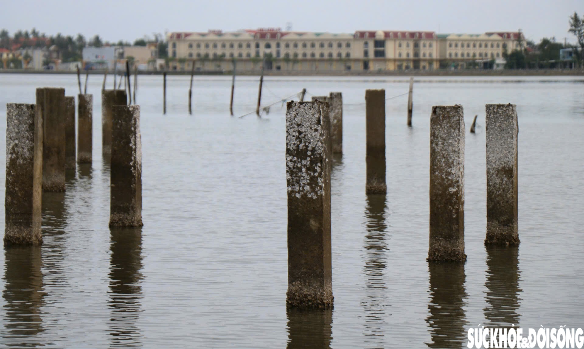 'Ma trận' cọc bê tông giữa 'tuyệt tình cốc' xứ Huế- Ảnh 5.