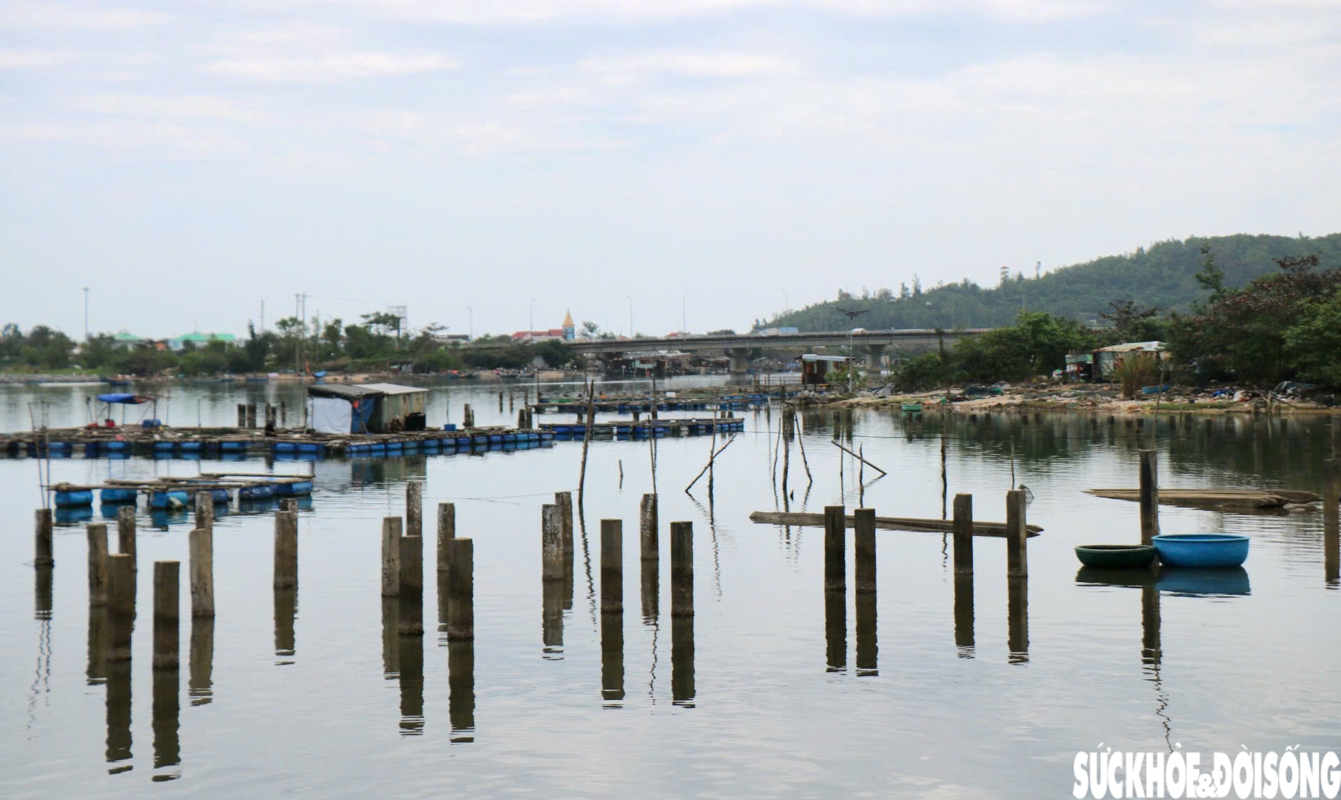 'Ma trận' cọc bê tông giữa 'tuyệt tình cốc' xứ Huế- Ảnh 7.