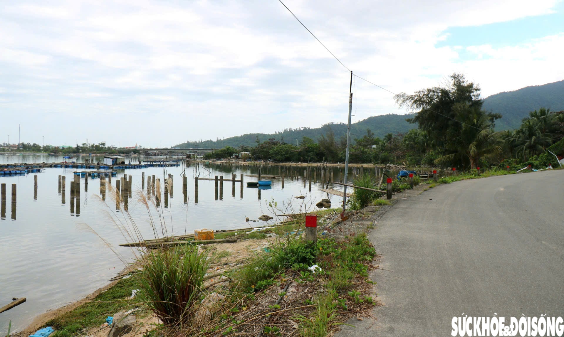 'Ma trận' cọc bê tông giữa 'tuyệt tình cốc' xứ Huế- Ảnh 8.