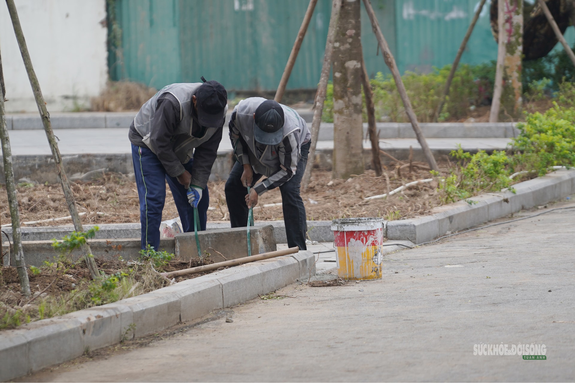 'Thay áo mới' cho công viên hồ điều hòa Mai Dịch dịp cận Tết- Ảnh 9.