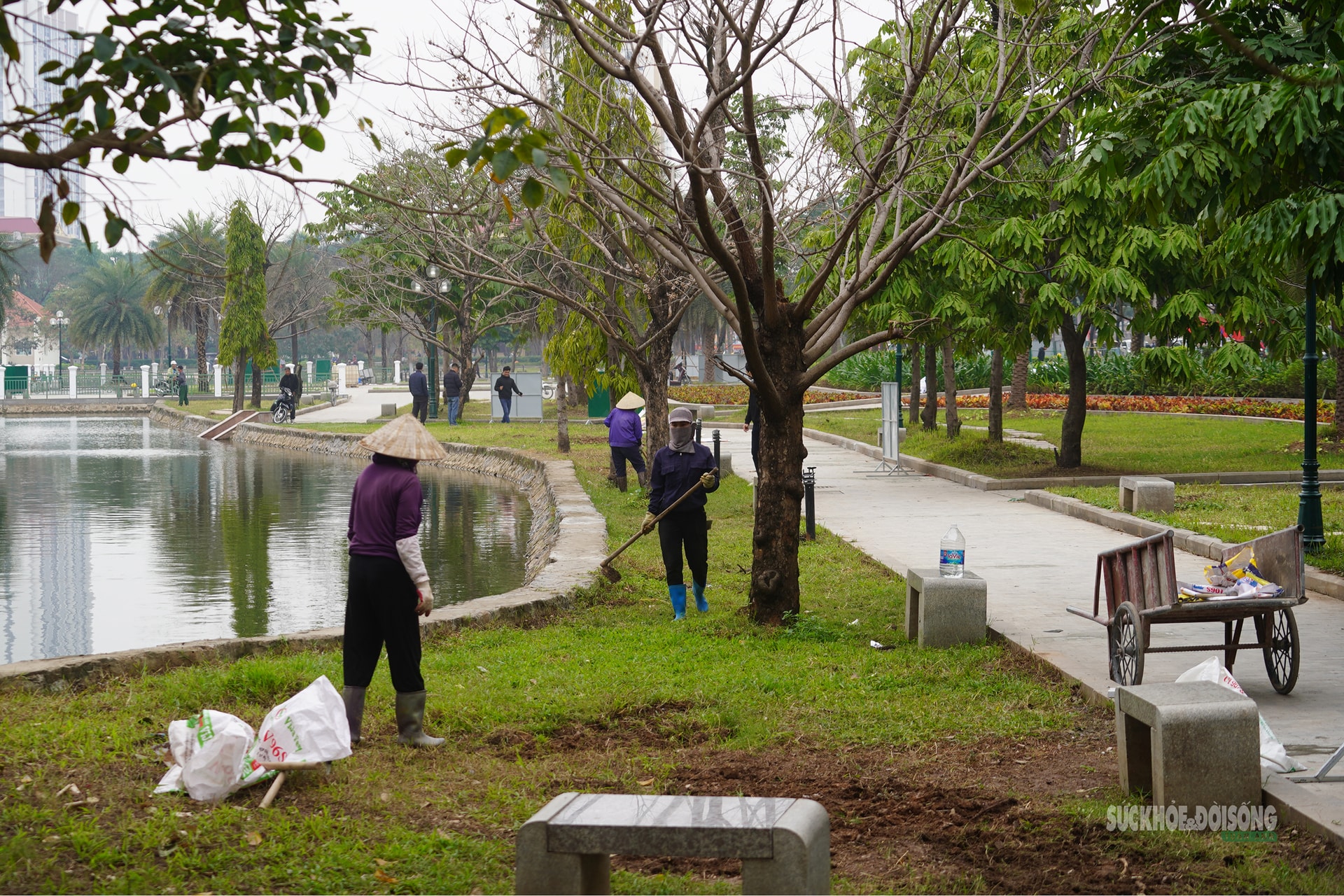 'Thay áo mới' cho công viên hồ điều hòa Mai Dịch dịp cận Tết- Ảnh 1.