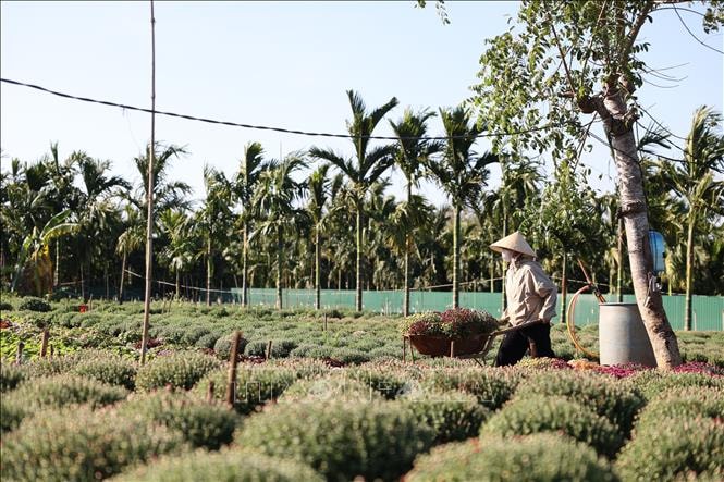 Các làng nghề rộn ràng vào vụ Tết- Ảnh 11.