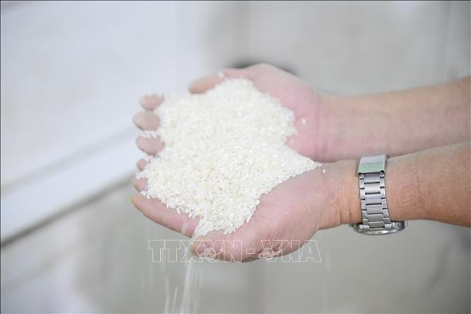 Các làng nghề rộn ràng vào vụ Tết- Ảnh 1.