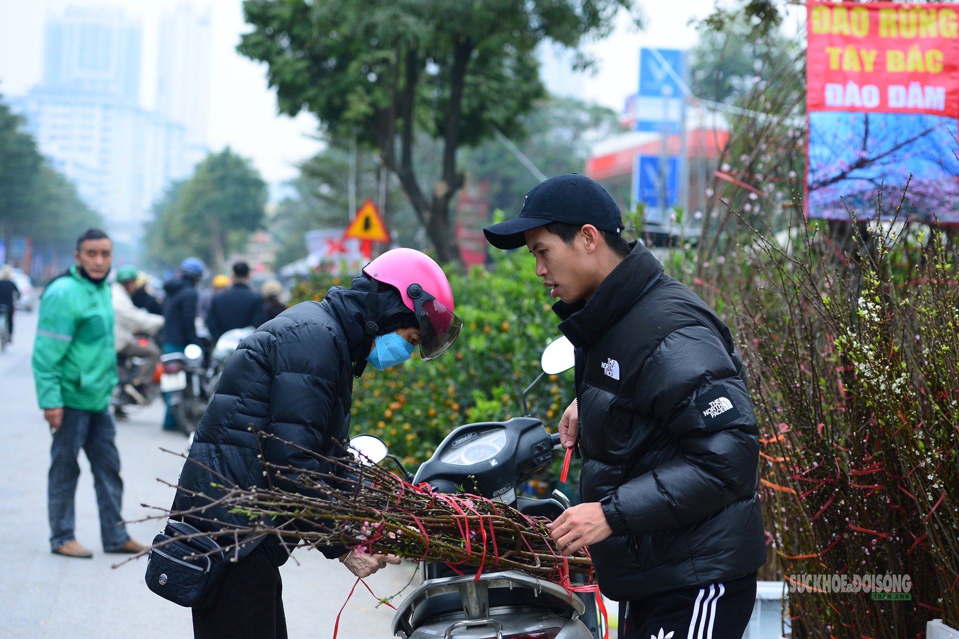 Hoa Tết rực rỡ sắc xuân, người Hà Nội rục rịch sắm Tết- Ảnh 8.