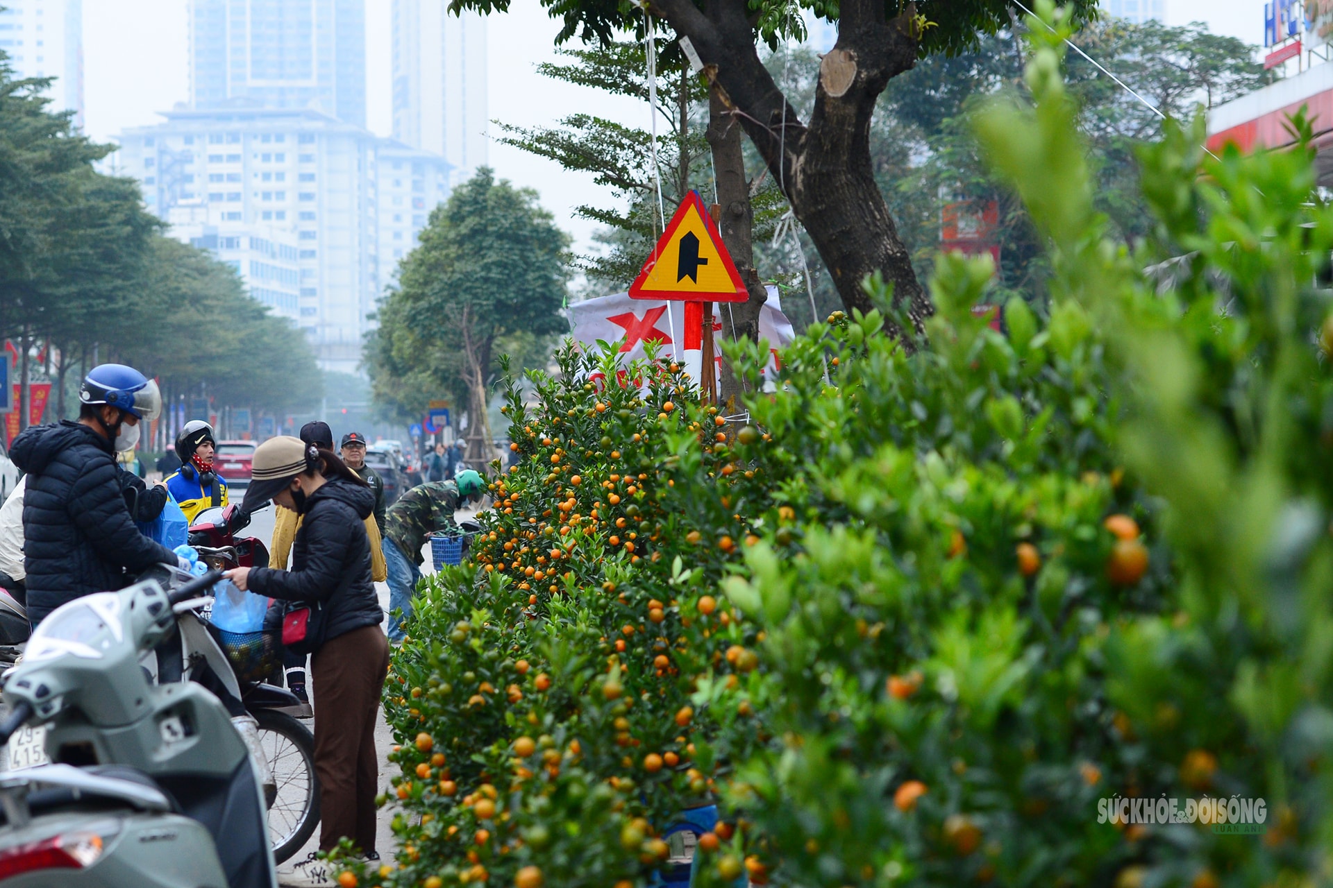 Hoa Tết rực rỡ sắc xuân, người Hà Nội rục rịch sắm Tết- Ảnh 5.