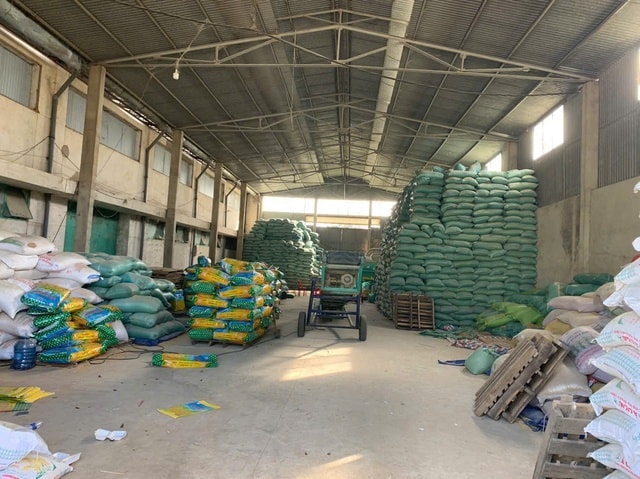 Khởi tố giám đốc sản xuất hơn 200 tấn lúa giống giả bán ra nhiều tỉnh, thành- Ảnh 2.