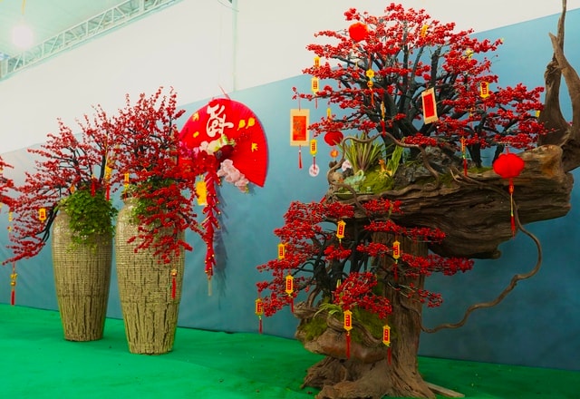 Tết Bính Ngọ: Đào đông nhập khẩu giá 'bỏng tay', người chơi tò mò- Ảnh 3.