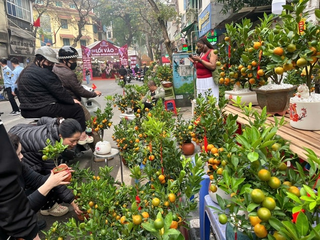 Hà Nội: Không khí Tết đã rộn ràng trên nhiều tuyến phố - Ảnh 10.