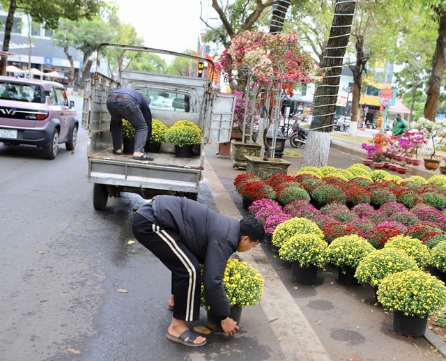 Hoa Tết 'xuống phố', Đắk Lắk ngập tràn sắc xuân- Ảnh 4.