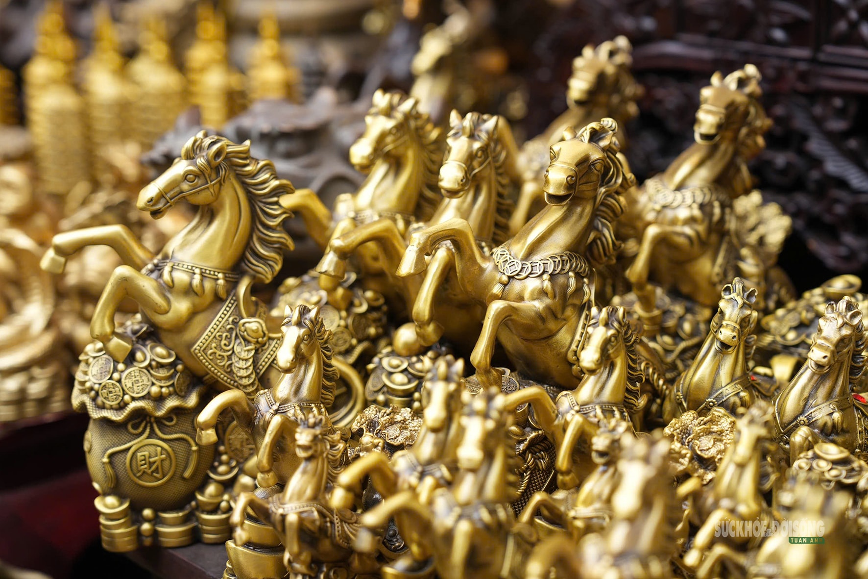 Chợ hoa Hàng Lược mỗi năm chỉ mở một lần hấp dẫn khách quốc tế- Ảnh 7. Chợ hoa Hàng Lược mỗi năm chỉ mở một lần hấp dẫn khách quốc tế- Ảnh 7.