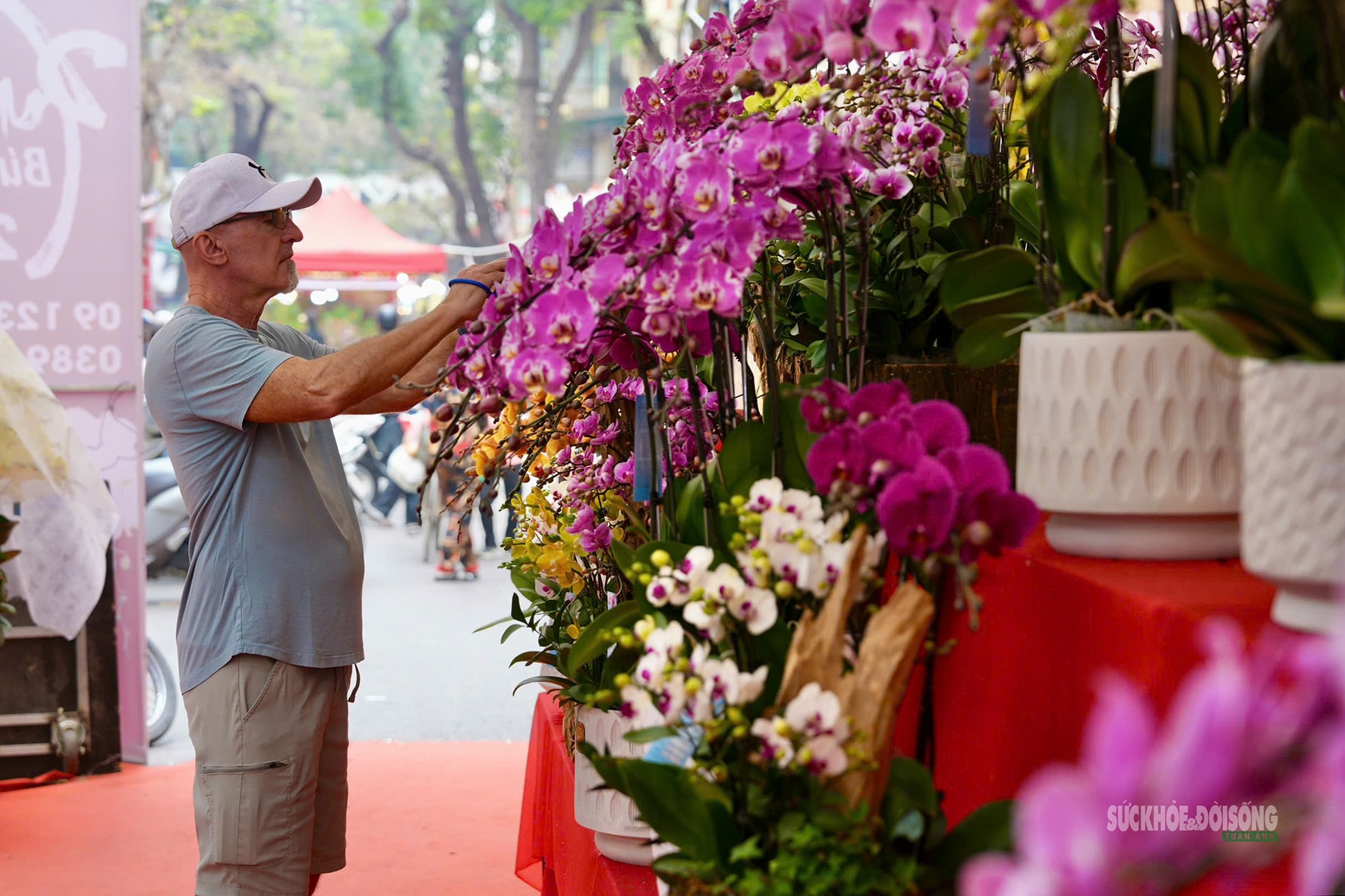 Chợ hoa Hàng Lược mỗi năm chỉ mở một lần hấp dẫn khách quốc tế- Ảnh 4. Chợ hoa Hàng Lược mỗi năm chỉ mở một lần hấp dẫn khách quốc tế- Ảnh 4.