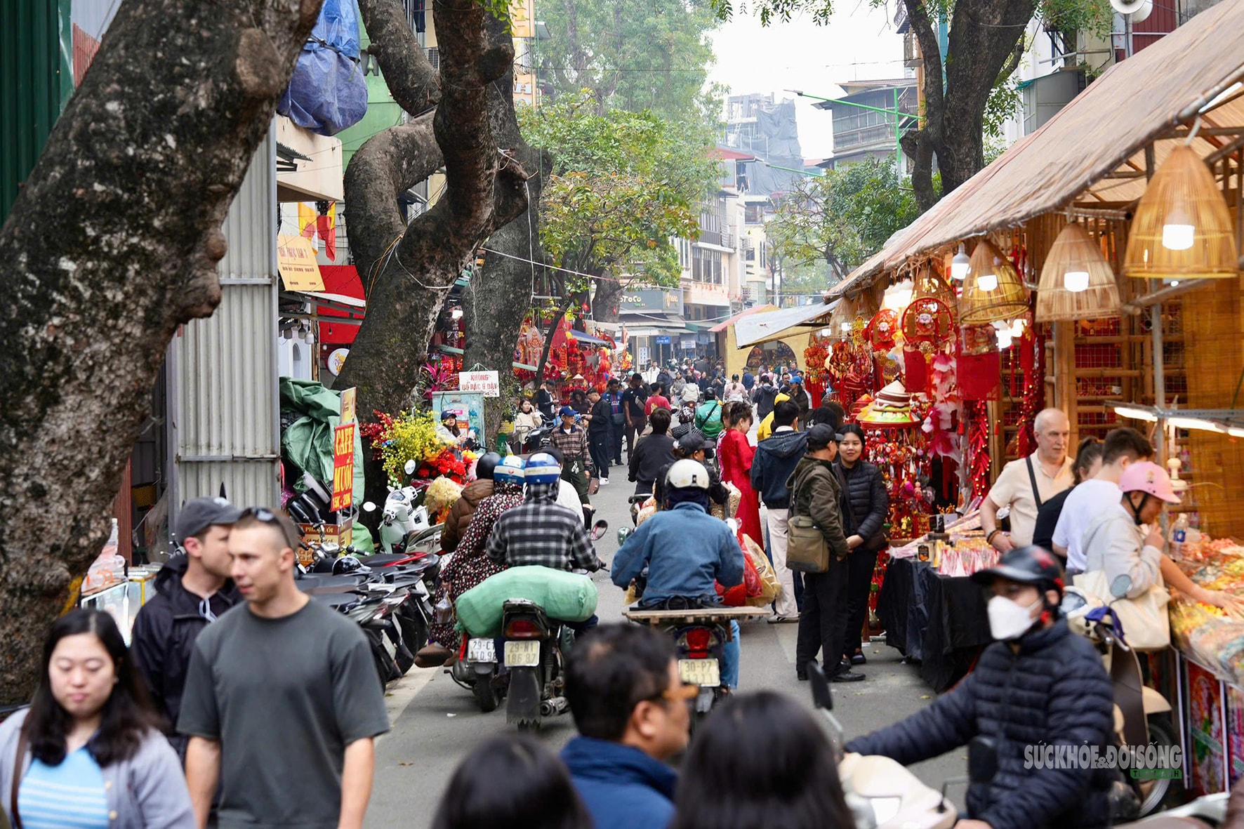 Chợ hoa Hàng Lược mỗi năm chỉ mở một lần hấp dẫn khách quốc tế- Ảnh 10. Chợ hoa Hàng Lược mỗi năm chỉ mở một lần hấp dẫn khách quốc tế- Ảnh 10.