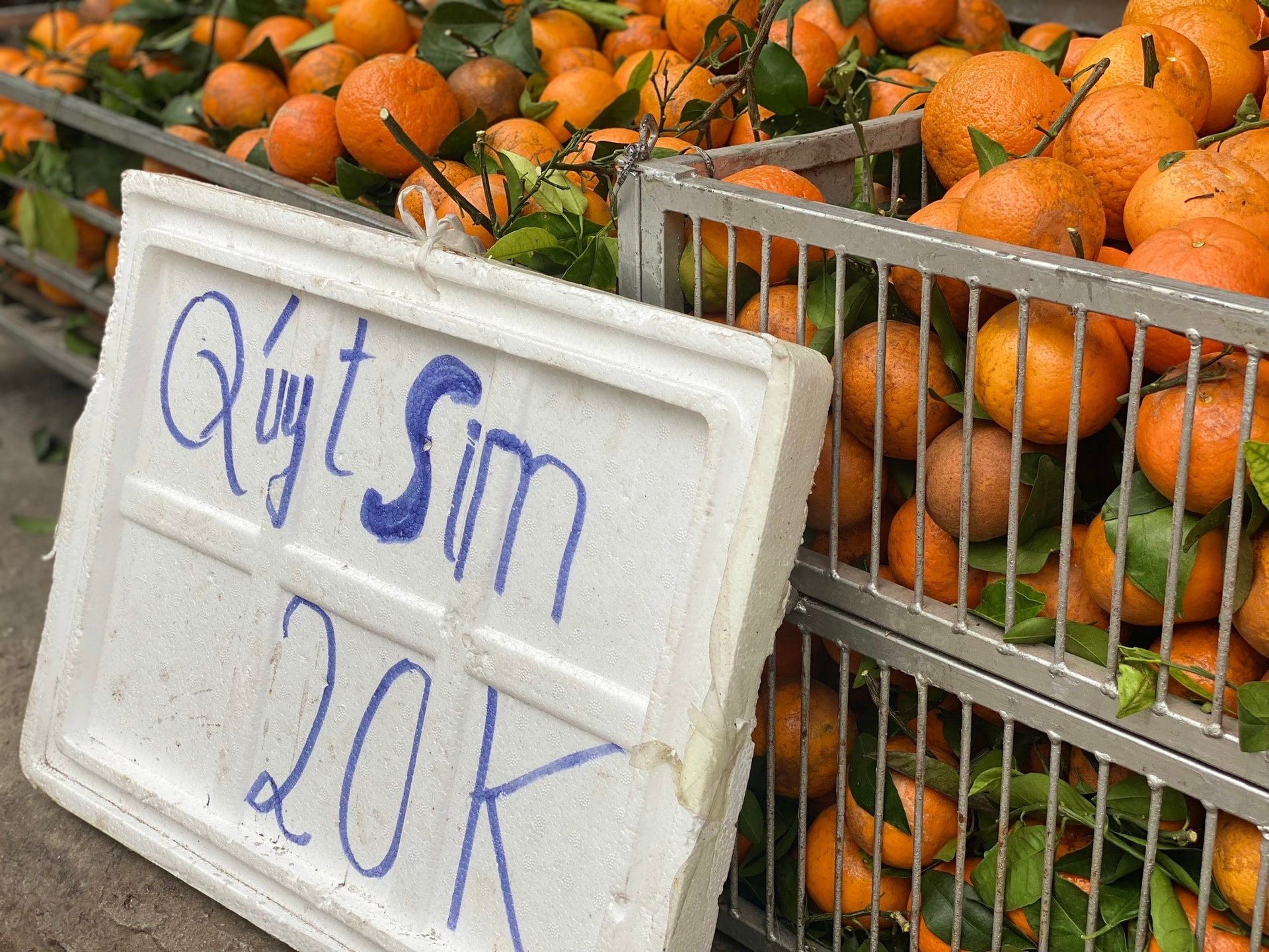 Quýt sim ‘xả’ đầy chợ, giá rẻ chỉ hơn chục nghìn đồng/kg dịp cận Tết Nguyên đán- Ảnh 1.