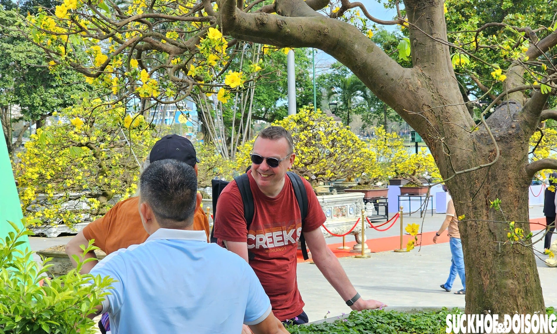 Chiêm ngưỡng dàn mai vàng cổ thụ quý hiếm 'hội tụ' ở Cố đô Huế- Ảnh 10.