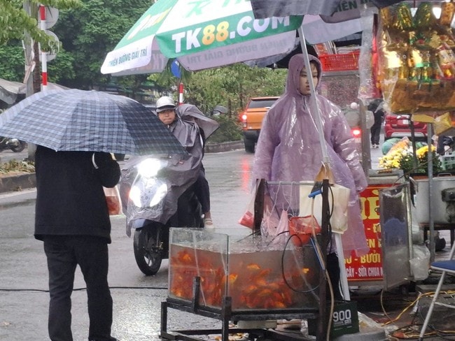 Tranh thủ cuối tuần, nhiều gia đình tiễn ông Công ông Táo về trời- Ảnh 5.