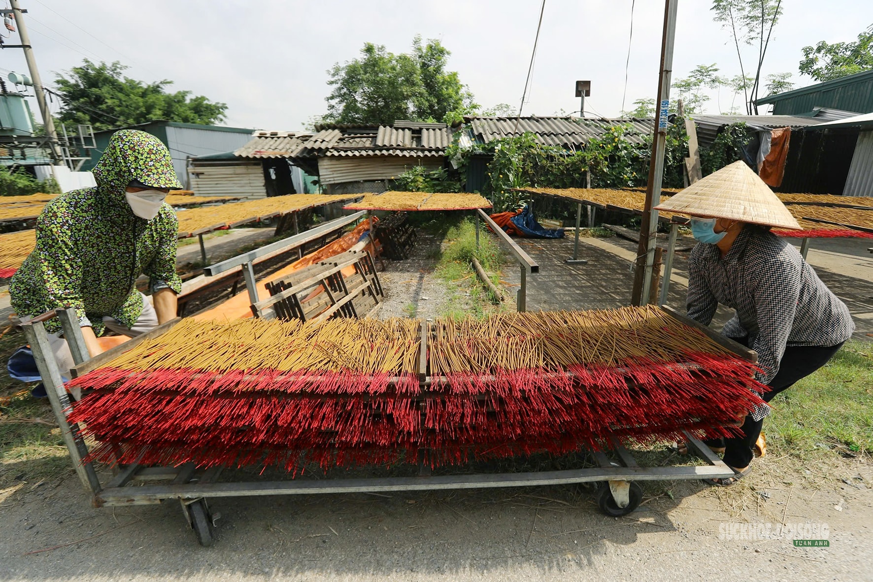 Sắc Tết rực rỡ tại làng hương Quảng Phú Cầu- Ảnh 6.