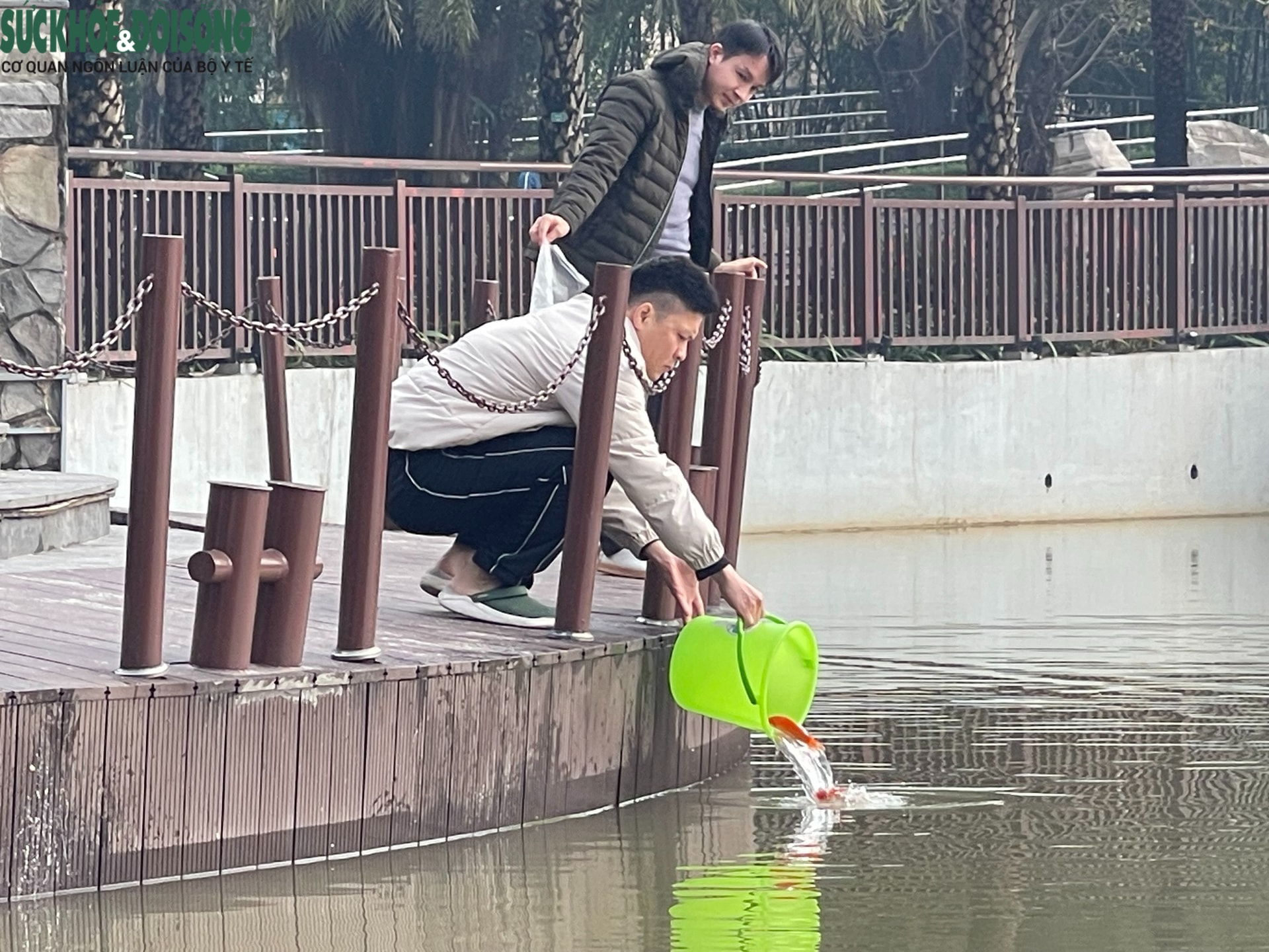 Đưa cả gia đình đi thả cá chép ngày ông Công ông Táo- Ảnh 4.