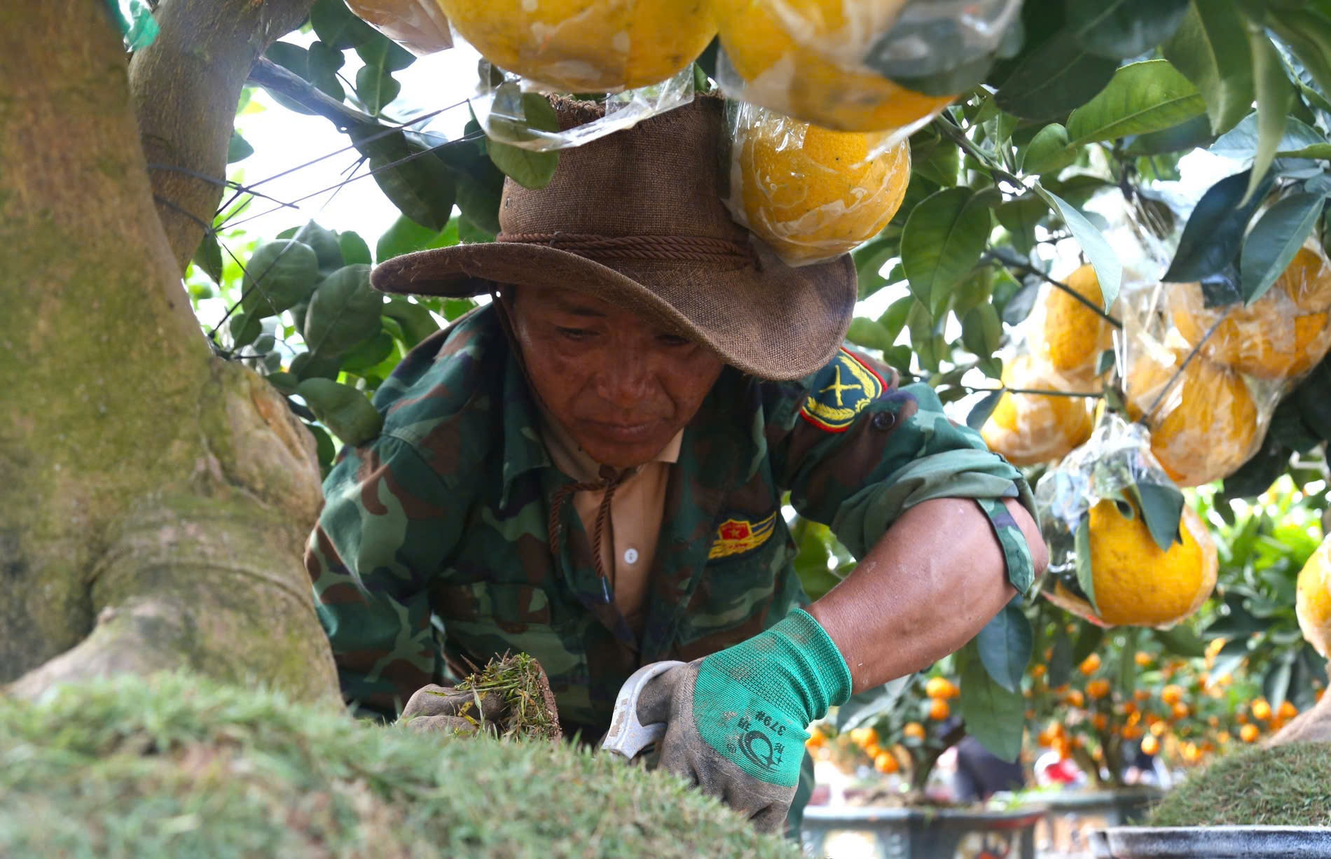 Tất tả mưu sinh ngày cận Tết- Ảnh 2. Tất tả mưu sinh ngày cận Tết- Ảnh 2.
