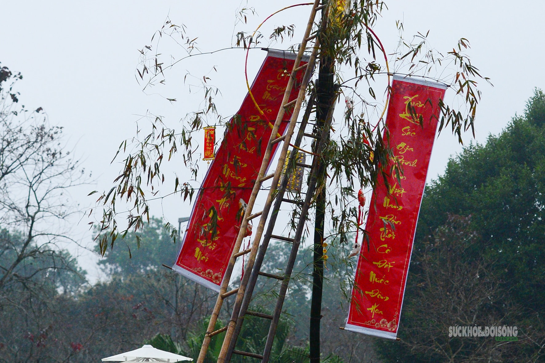 Dựng cây nêu ngày Tết - đánh thức hồn thiêng mùa xuân- Ảnh 4.