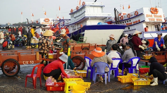 Lâm Đồng rộn ràng tàu cập bến, ngư dân đón xuân từ những khoang cá- Ảnh 3.