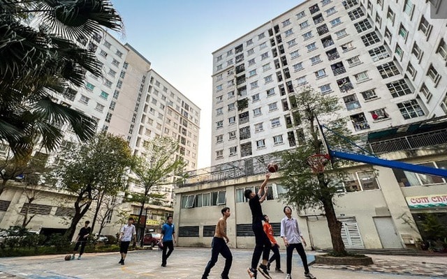 Trình tự, thủ tục bán, cho thuê mua, cho thuê nhà ở xã hội mới nhất- Ảnh 1.