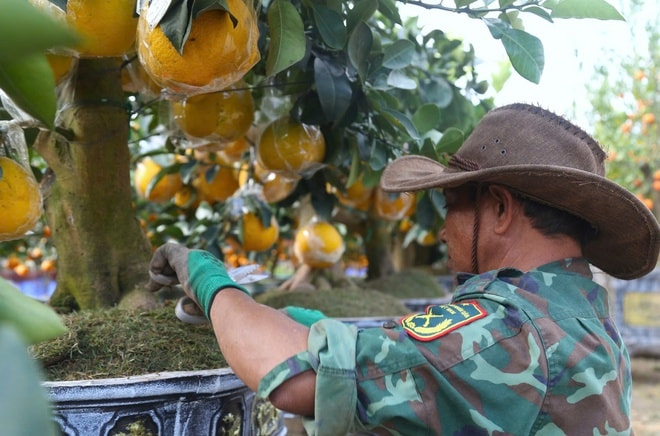 Tất tả mưu sinh ngày cận Tết- Ảnh 3. Tất tả mưu sinh ngày cận Tết- Ảnh 3.