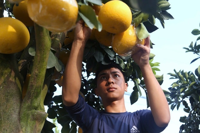 Tất tả mưu sinh ngày cận Tết- Ảnh 5. Tất tả mưu sinh ngày cận Tết- Ảnh 5.