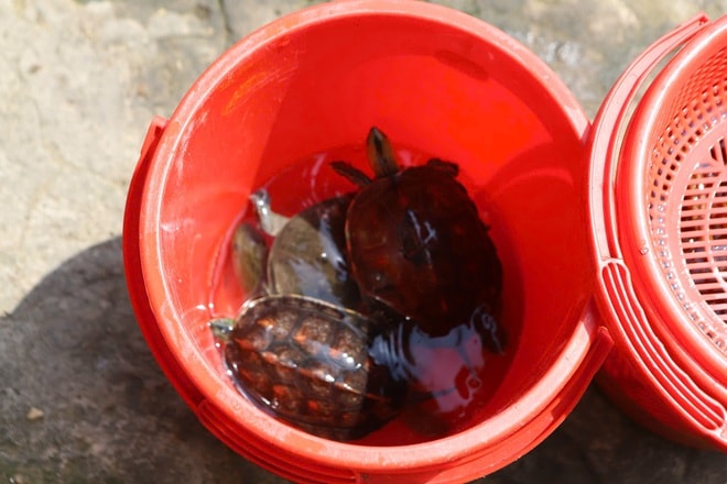 Người TPHCM thuê ghe ra giữa sông để thả cá, tiễn ông Công, ông Táo- Ảnh 8.