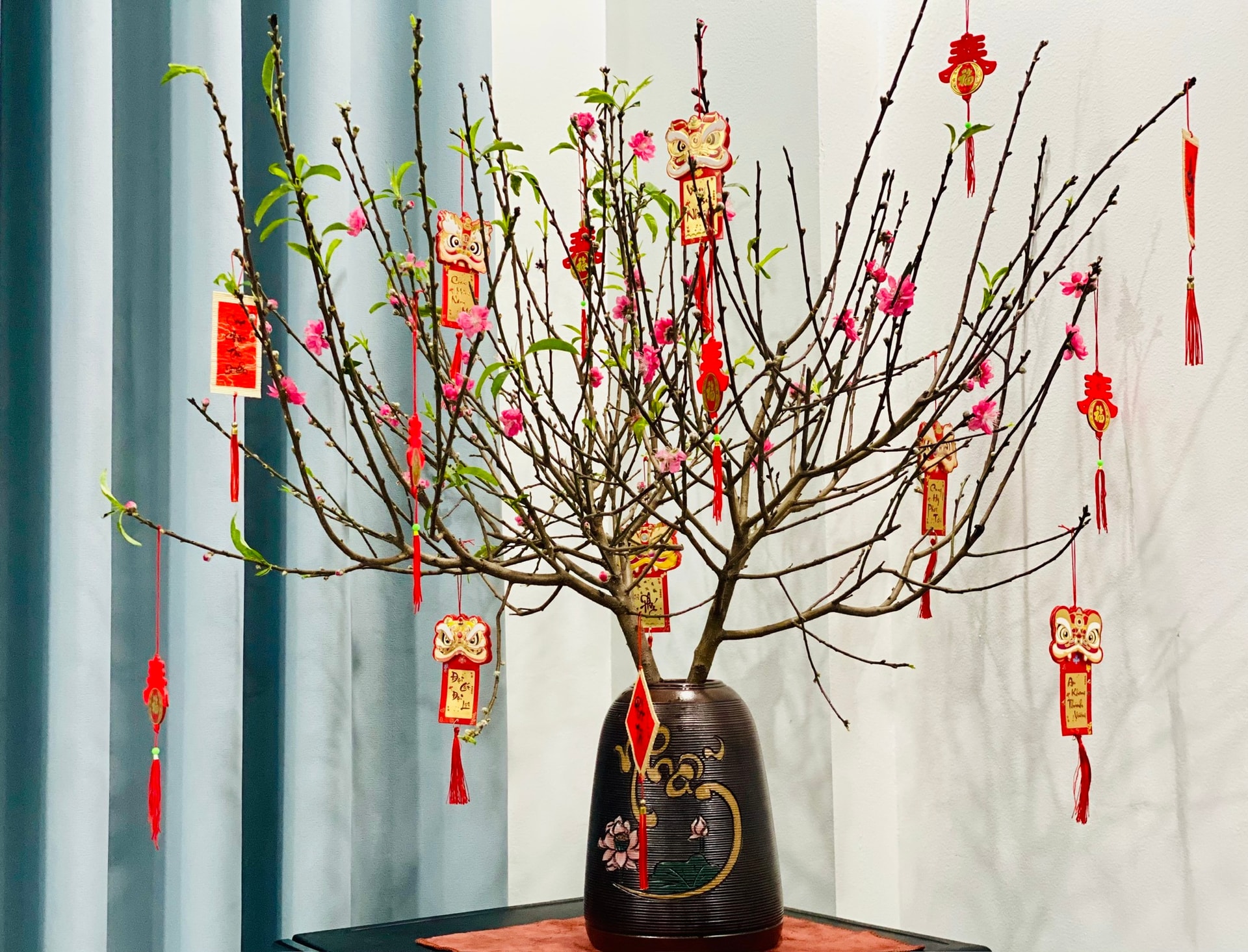 Đào mini giá vài chục nghìn đồng/cành hút khách chơi dịp Tết 2026- Ảnh 4.