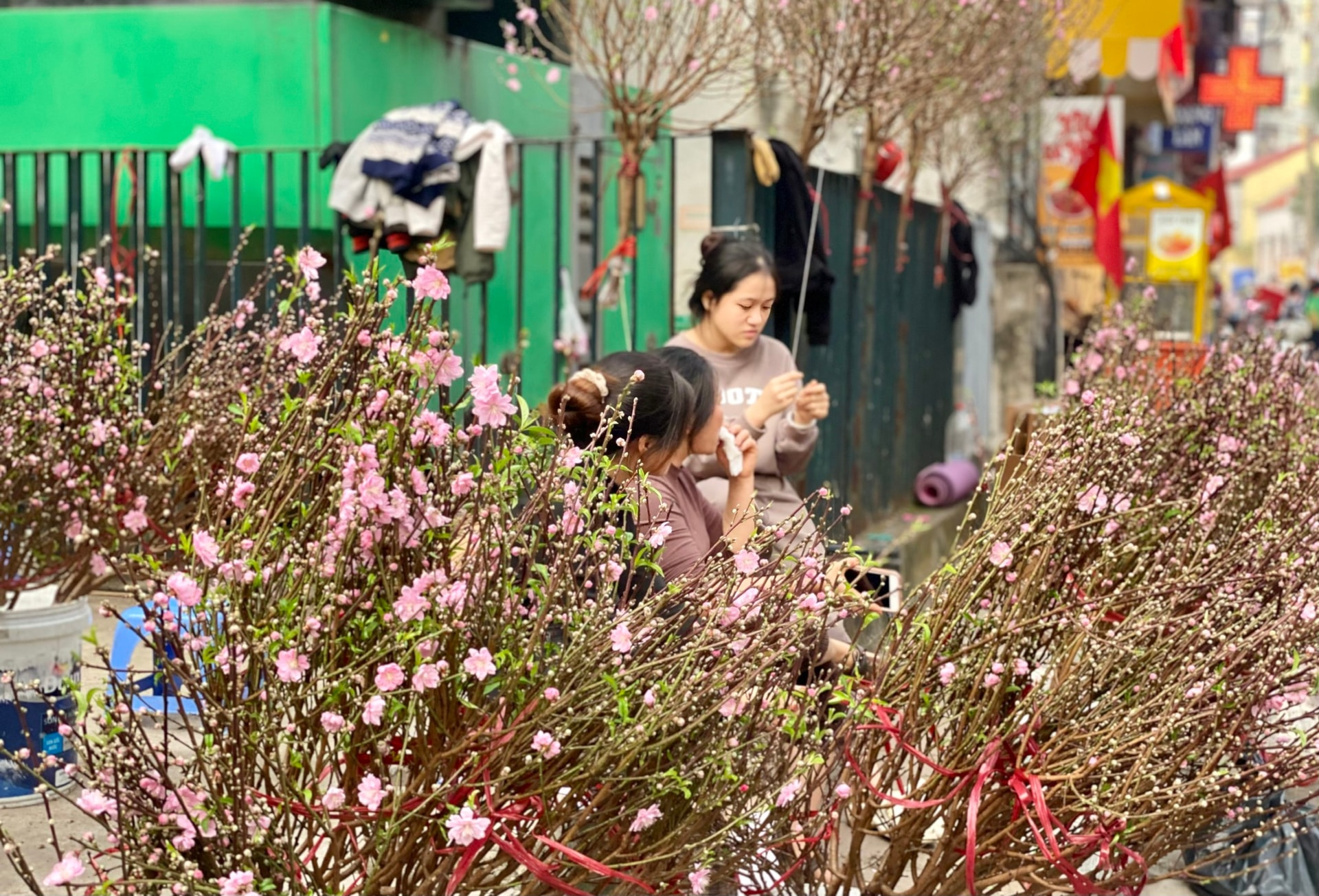 Đào mini giá vài chục nghìn đồng/cành hút khách chơi dịp Tết 2026- Ảnh 5.