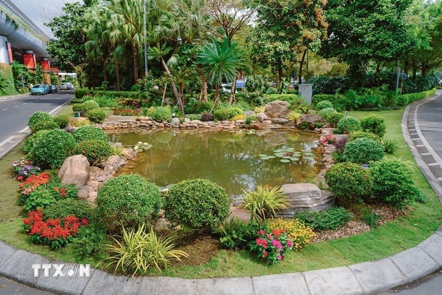 Nhà ga Quốc tế Đà Nẵng vận hành hồ cá sinh thái từ nước thải tái chế- Ảnh 1.