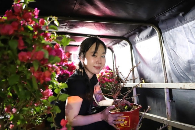 Tiểu thương mắc võng, xuyên đêm canh hoa Tết ở TPHCM- Ảnh 2.