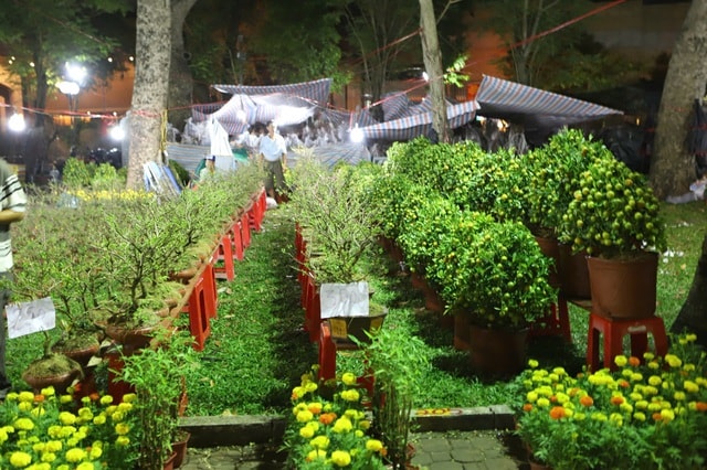 Tiểu thương mắc võng, xuyên đêm canh hoa Tết ở TPHCM- Ảnh 1.