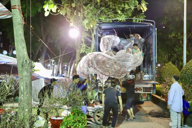 Tiểu thương mắc võng, xuyên đêm canh hoa Tết ở TPHCM- Ảnh 10.