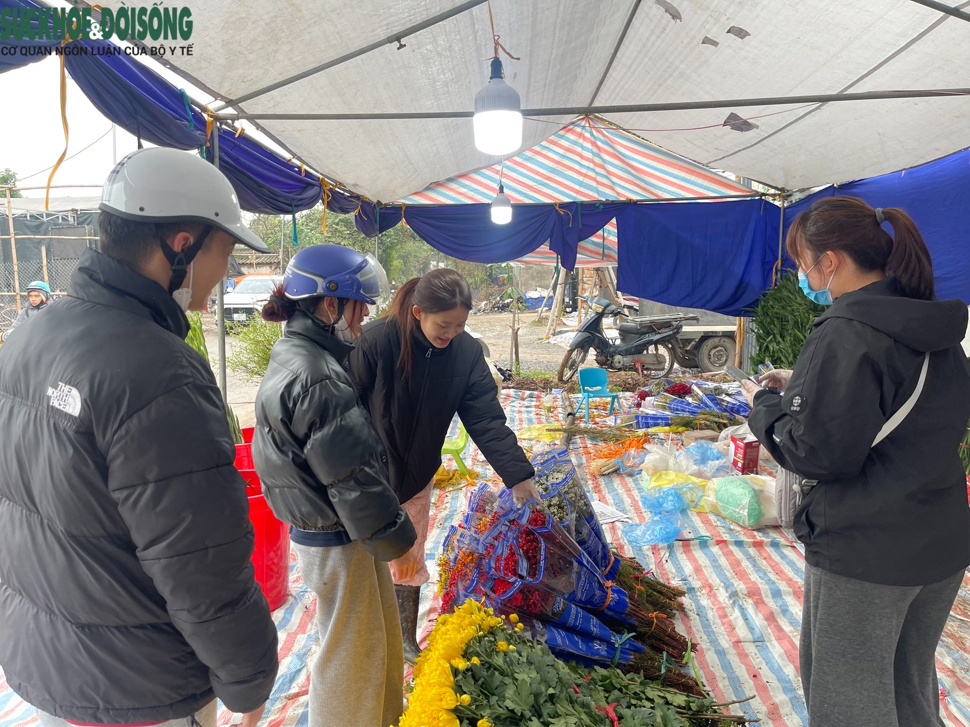 Cận Tết ở làng hoa Tây Tựu: Đơn hàng gấp 3-4 lần, người làm không kịp nghỉ- Ảnh 7.