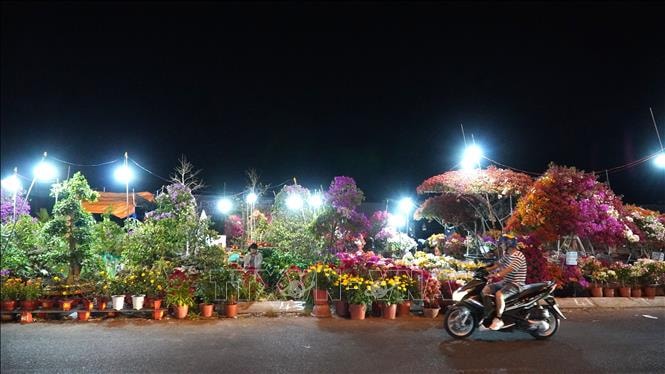 Thị trường hoa, cây cảnh Tết: Nơi trầm lắng, nơi cháy hàng- Ảnh 1.